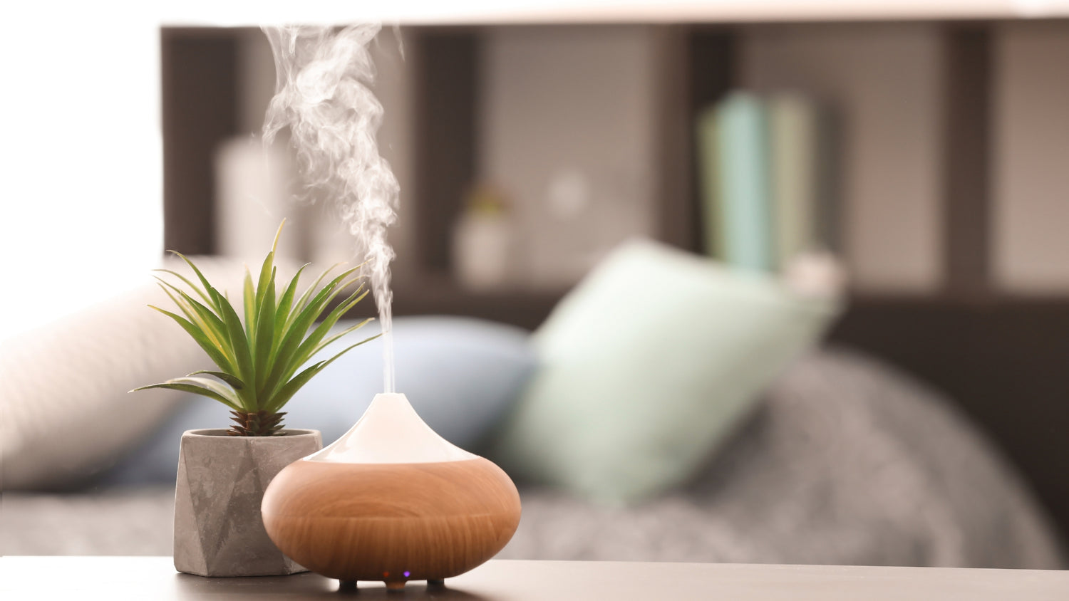 Diffuser steam on table with green plant